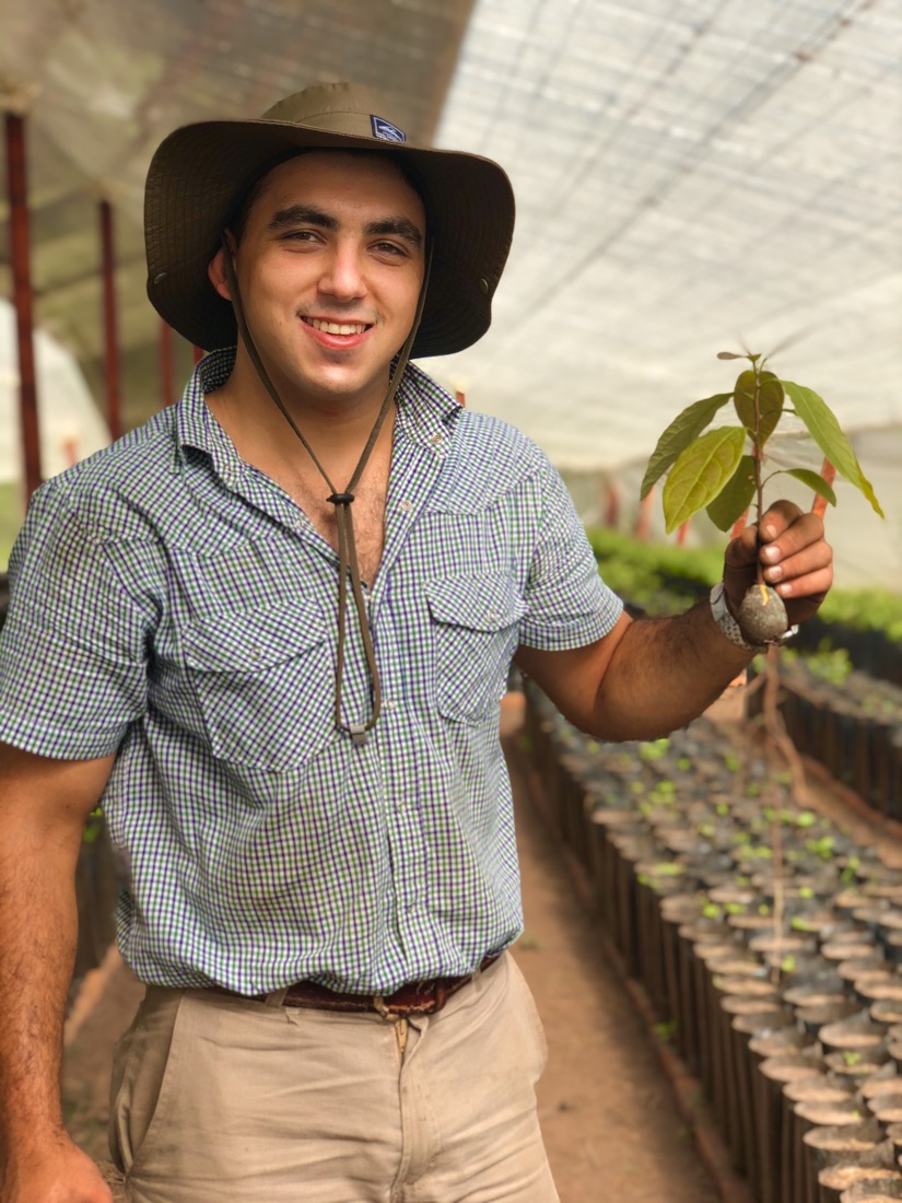 Alvaro Blasco con un plantín de palta en la mano dentro del invernáculo